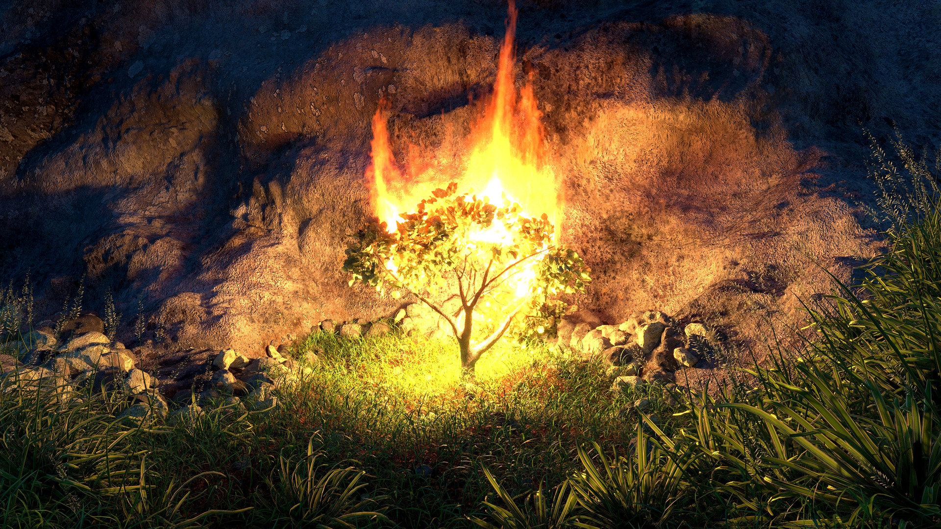 The Flame Tree