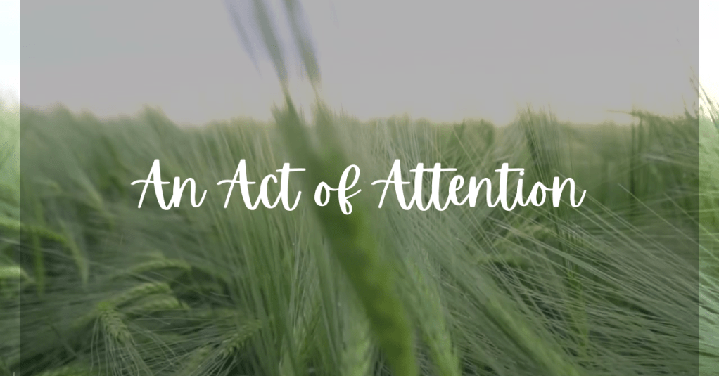 An Act of&nbsp;Attention
