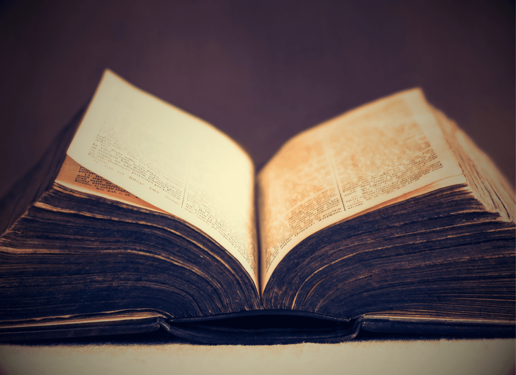 New Friend in Old&nbsp;Age